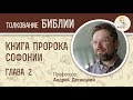 Книга пророка Софонии. Глава 2. Андрей Десницкий. Ветхий Завет