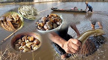 Đẩy Côn Bắt Cá Lóc Đồng Mùa Nước Nổi | Săn Cá Lóc & Nấu Món Ăn Ngon Ở Vùng Quê