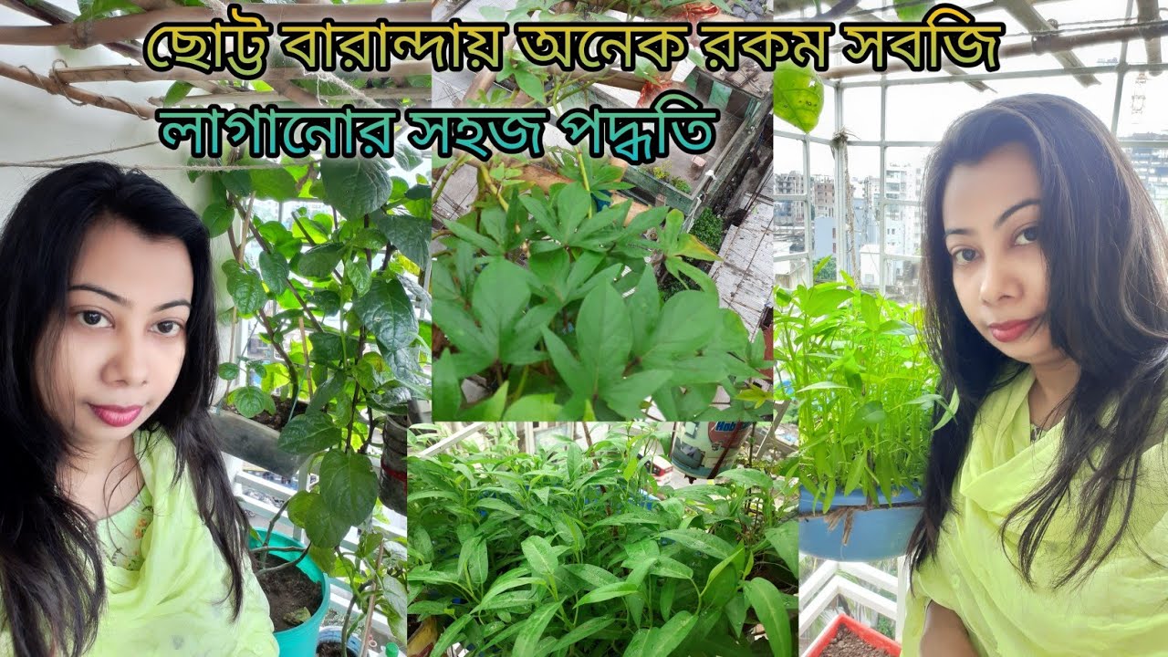 যে গাছ গুলো বারান্দায় খুব সহজে লাগাতে পারবেন || অল্প সময়ের ব্যবধানে, অল্প রোদে বারান্দার সবজি ||