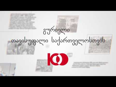 გურიელი თავისუფალი საქართველოსთვის - სოფო გორგაძე