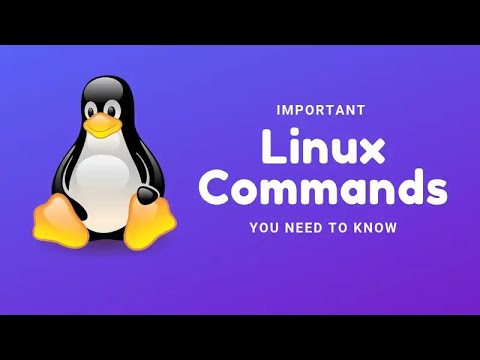 Basic linux commad : ls ll cd pwd chmod mkdir rm rmdir - YouTube