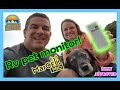 Best RV\ Pet monitoring system?