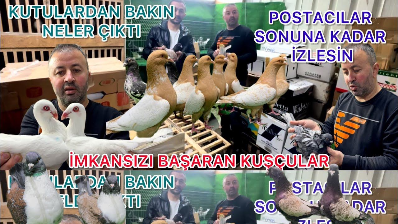 TÜRK KUŞÇULUĞUNA YEPYENİ BÜYÜK İMZA  ŞU KALİTEYE ŞU ÇEŞİDE BAKIN