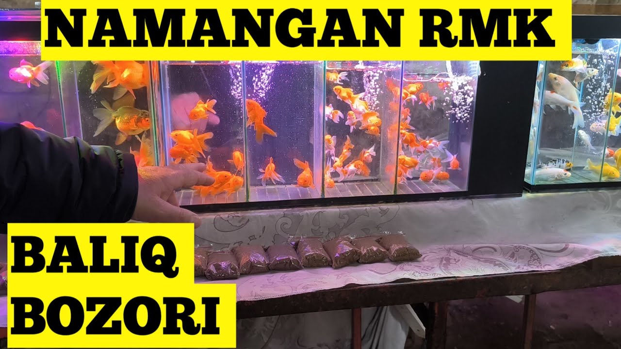 7-VIDEO BALIQ BOZORI NAMANGAN RMK 