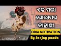        life changing odia motivation  by sanjay panda