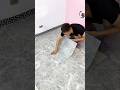 PVC Tile Design | How To Apply PVC Tile #shorts #pvc #housedesign