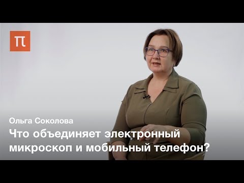 Видео: Что произойдет, если перестанет функционировать мембранный транспортный белок?