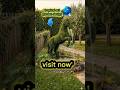 From Wireframe to Living Horse 🌿 Unreal Garden Transformation
