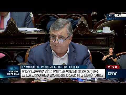 Diputado Negri, Mario - Sesión 24-11-2022