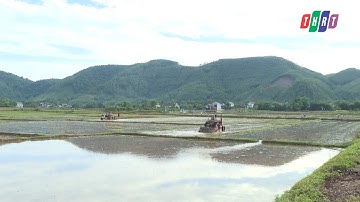 Nông dân huyện Tuyên Hóa xuống giống lúa vụ Hè thu 2025