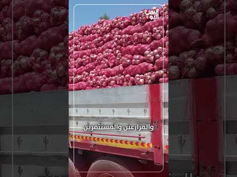 أزمة البصل الأحمر اليمني