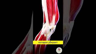 Йод + чеснок = суставы как в 20! 🔥 Врачи в шоке! #здоровье