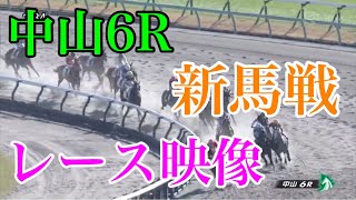 12/2 中山6R 新馬戦 レース映像