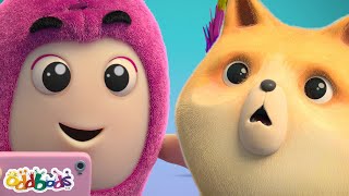 Newt LOVES CATS! 😺 | Animals for Kids | 3 HOURS | Oddbods Full Episodes | Funny Cartoons for Kids