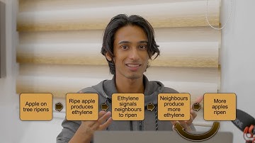 Creating a Positive Feedback Loop