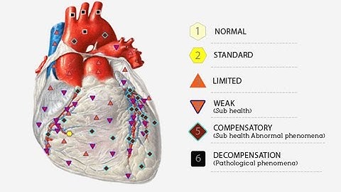 3D NLS health analyzer operate trainning VIDEO