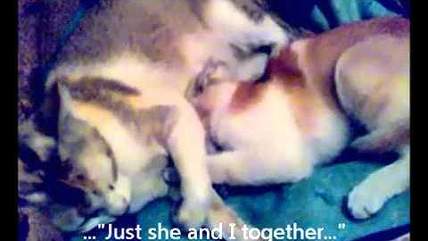 When She Loved Me? :-P