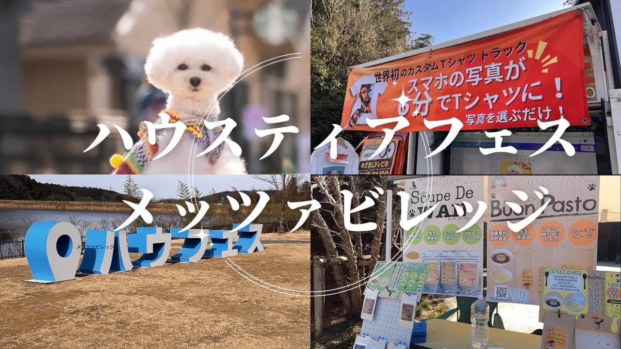 【ドッグフェス】ハウスティアフェス2026メッツァビレッジ