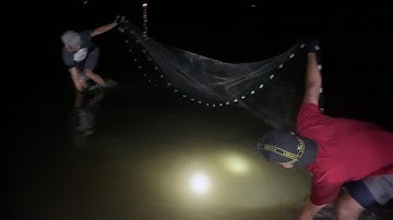 Hành trình đi bắt tôm tép giữa đêm rất thú vị