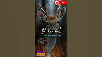 اذا سالك عبادي عني فاني قريب #القرآن_الكريم #تلاوة_خاشعة #قرآن #اكسبلور #لايك #حالات_واتس #قرآن