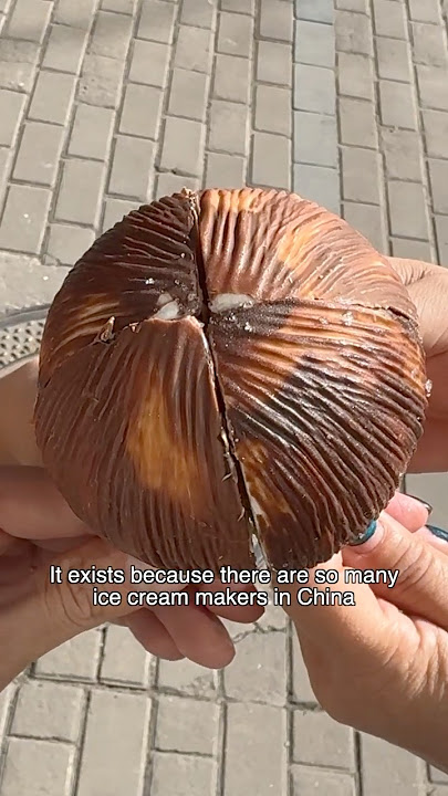 I tried the most UNIQUE ice cream in China 🇨🇳🥥