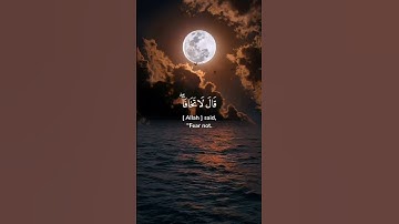 قال لا تخافا إننى معكما أسمع وأرى بصوت هادئ ومريح #تلاوة_خاشعة #قرآن #quran سط#سورة_آل_عمران