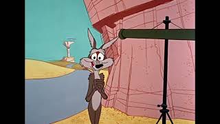 Roadrunner Food Evaluation