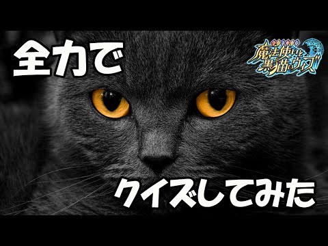 ゆっくり実況プレイ　【一足早い年忘れ】久しぶりに全力でクイズしてみた！！　魔法使いと黒猫のウィズ