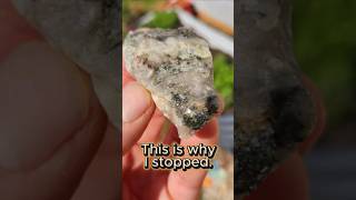 This Is Why I Stopped