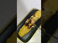Rollo de Maduro con queso y bocadillo sin horno 🥘
