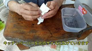 モンシロチョウのタマゴを孵化させる為の詳しい動画です。