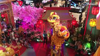 IMAGO Chinese New Year 2020 -  Prosperous Journey