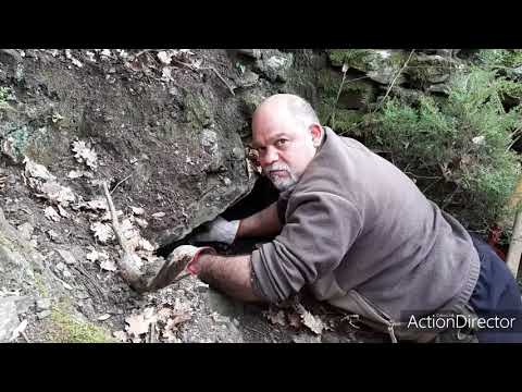 Video: Scavando La Terra