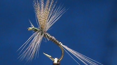 Beginner Fly Tying a Quill Gordon with Jim Misiura