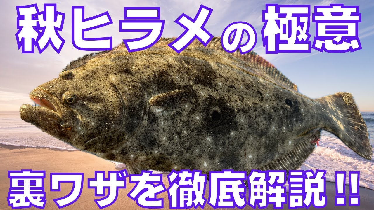 This will help you catch more autumn flounder! A thorough