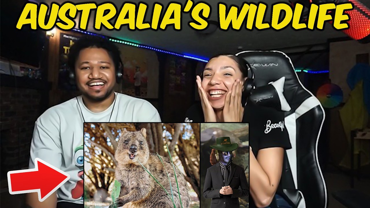 AMERICANS Reacting to AUSTRALIA'S WILDLIFE (Part 1) | More Parz Reaction