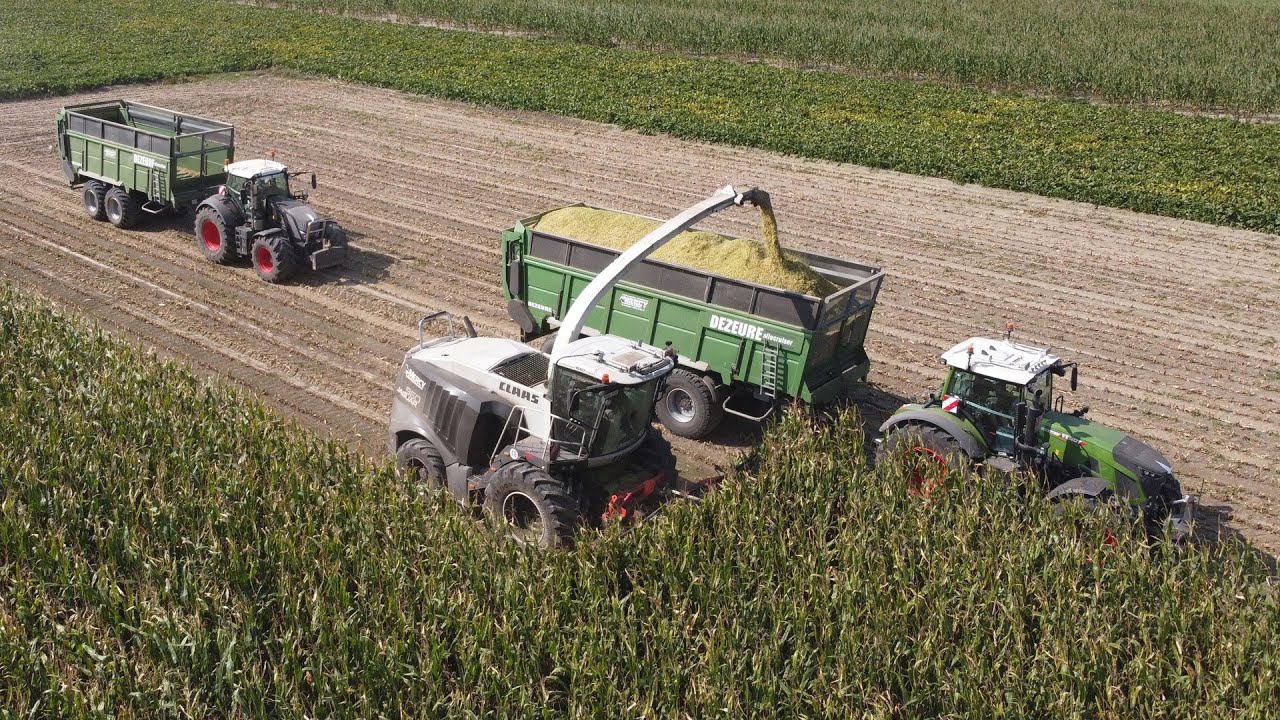 Claas Jaguar 960 & Fendt 930 S5 &  826 vario - Mercy bvba - mais 2020