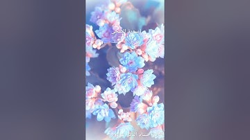 سورة الضحى القارئ حسام الدين عبادي