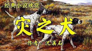 经典短篇小说欣赏《灾之犬》作者：沈溪石！