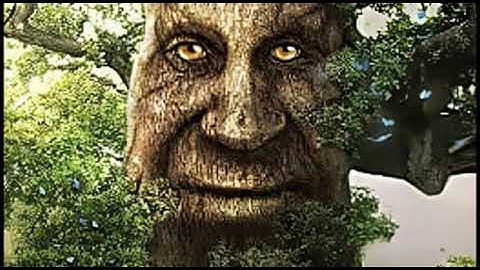 wise whimsical tree 10 hours