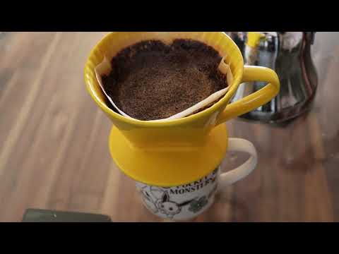 Morning snack, recording videos, walking my dogs & my last archery lesson this year | VLOG 02