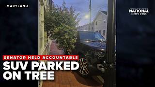 Maryland senator's SUV PARKED ON TREE raises accountability questions in Annapolis
