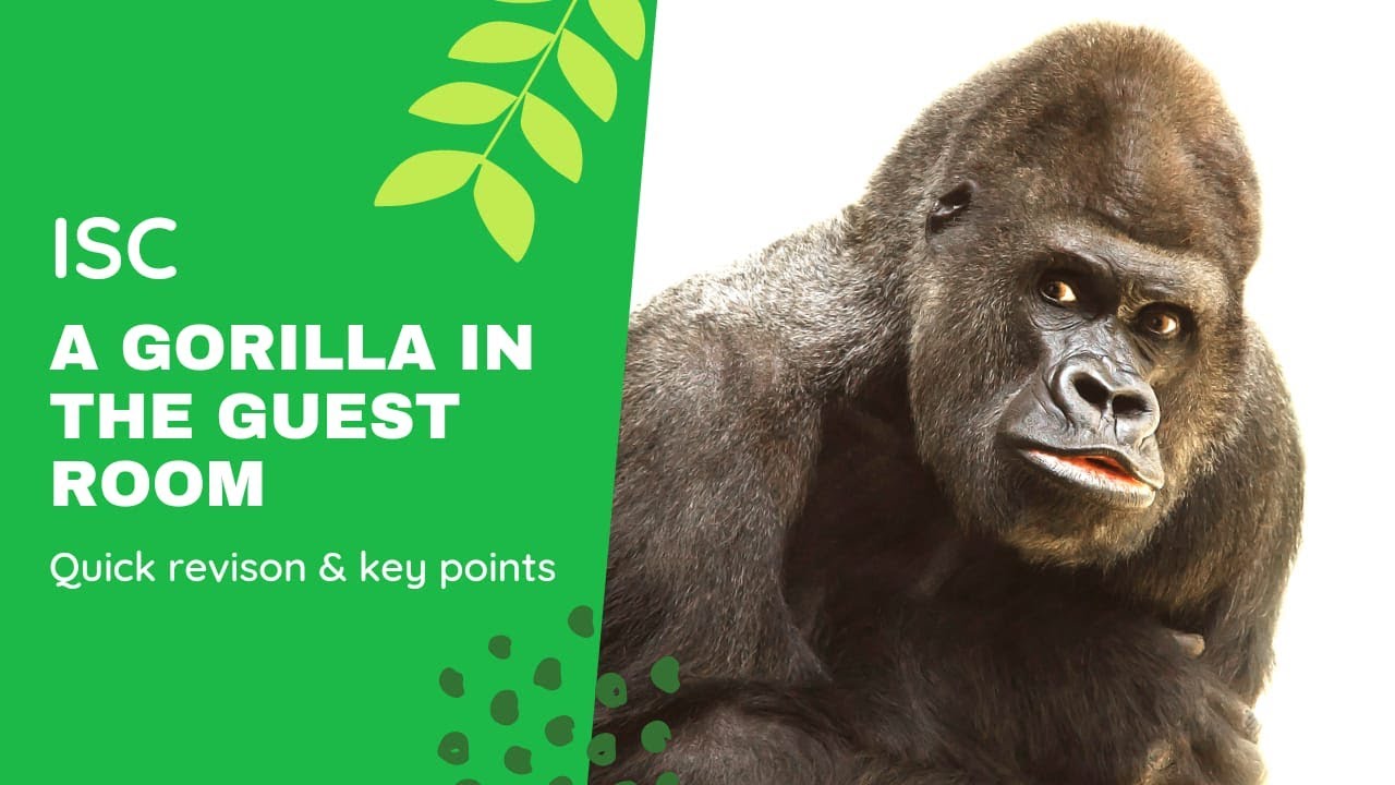 A Gorilla in the Guest Room| ISC | English Literature ...