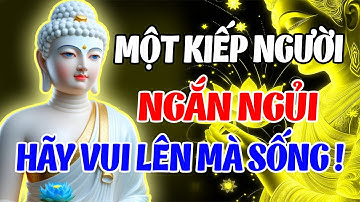 Nửa Đời Về Sau – Hãy Học Cách Sống Trầm Tĩnh, Để Tâm Nhẹ – Đời An | Phật Pháp Từ Bi