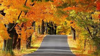 The beauty of autumn roads (HD1080p)