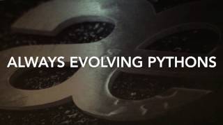 Celebrity Ball python collection just got real !!! (21 new snakes ) Net Worth