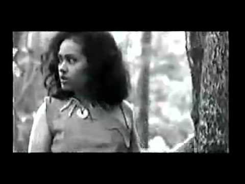 Call Of The Wild - Anto Juwono