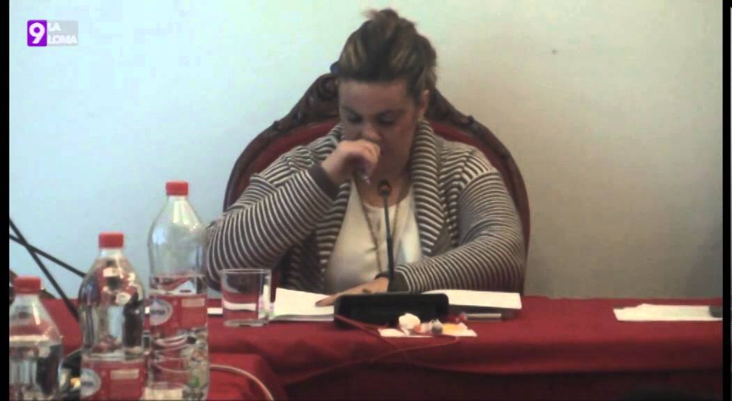 Pleno Ordinario Baeza 28.1.2016