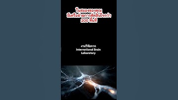 ในสมองของคุณมี พื้นที่การตัดสินใจกว่า 200 พื้นที่ #สมอง #การตัดสินใจ