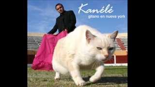 Video thumbnail of "Kanélé- clip Paquito"